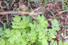 IMG-20260329-WA0015