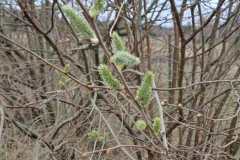 IMG-20260329-WA0016