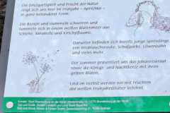 IMG-20260329-WA0017