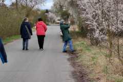 IMG-20260329-WA0018