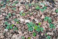 IMG-20260329-WA0022