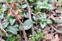IMG-20260329-WA0025