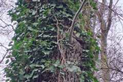 IMG-20260329-WA0028