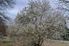 IMG-20260329-WA0030