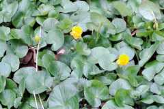 IMG-20260329-WA0031
