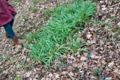 IMG-20260329-WA0042