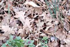 IMG-20260329-WA0046