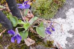 IMG-20260329-WA0047