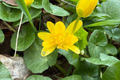 IMG-20260330-WA0034