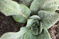 IMG-20260330-WA0039