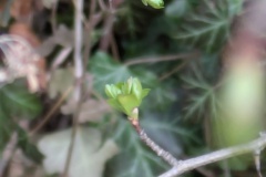 PXL_20260324_100637748