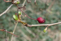 PXL_20260324_100831791