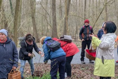 PXL_20250330_114845451