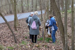 PXL_20250330_114849412