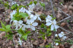 PXL_20250330_114919128