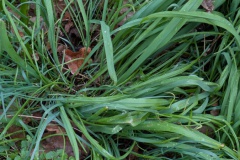 PXL_20250330_114933842