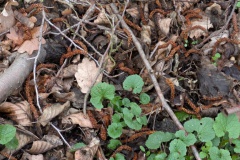 PXL_20250330_120327017