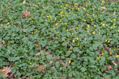 PXL_20250330_120920599