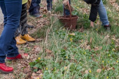 PXL_20250330_121001415