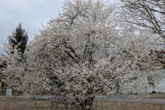 PXL_20250330_121223900