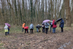 PXL_20250330_123555857