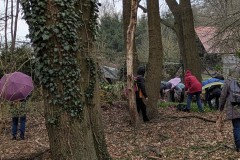 PXL_20250330_123816700