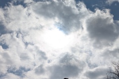 PXL_20250330_132949469