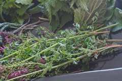IMG-20250427-WA0024