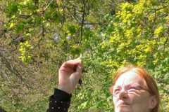 IMG-20250427-WA0034