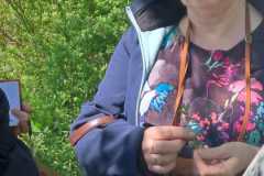 IMG-20250427-WA0037