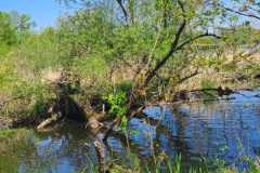 IMG-20250427-WA0038