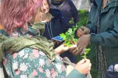 IMG-20250427-WA0064
