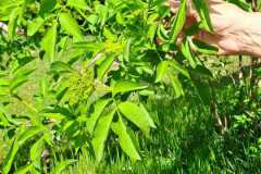 IMG-20250427-WA0065