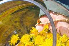 IMG-20250427-WA0082