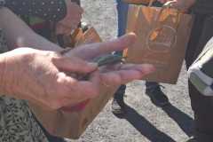 IMG-20250427-WA0091