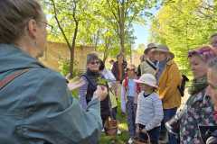 IMG-20250427-WA0107