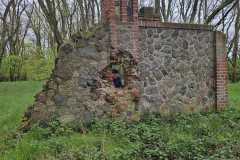 IMG-20260419-WA0042