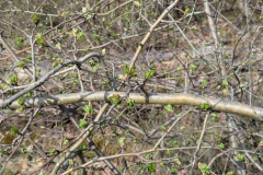 PXL_20260405_104950593