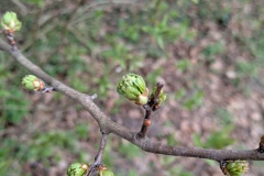 PXL_20260405_111915823