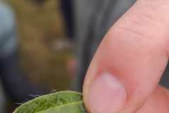 IMG-20250525-WA0013