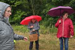 IMG-20250525-WA0040
