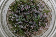 PXL_20250525_140716293