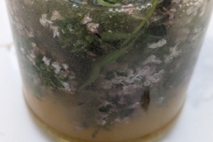 PXL_20250525_140731270