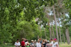 IMG-20260531-WA0042