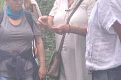 IMG-20260531-WA0053
