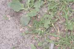 IMG-20260531-WA0072