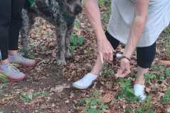 IMG-20260531-WA0099