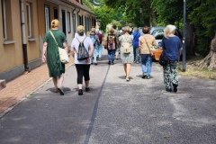 4. Kräuterwanderung 29. Juni 2025