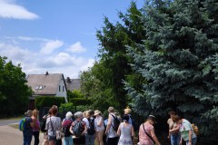 IMG-20250629-WA00582