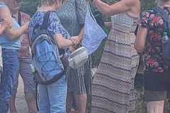 IMG-20250629-WA0077